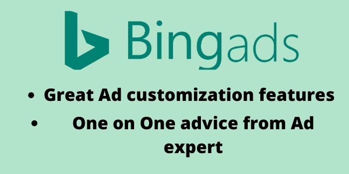 BINg-1.jpg