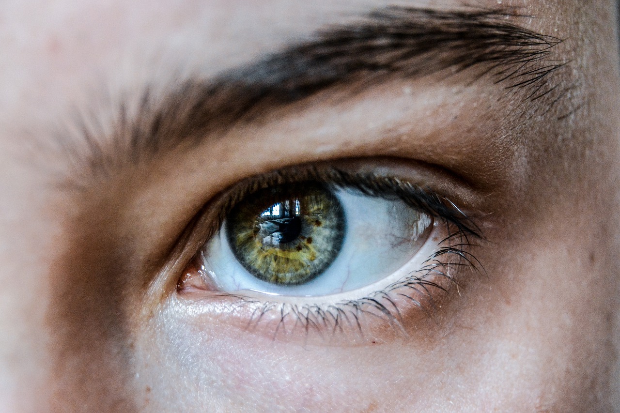 Eyebrow.jpg