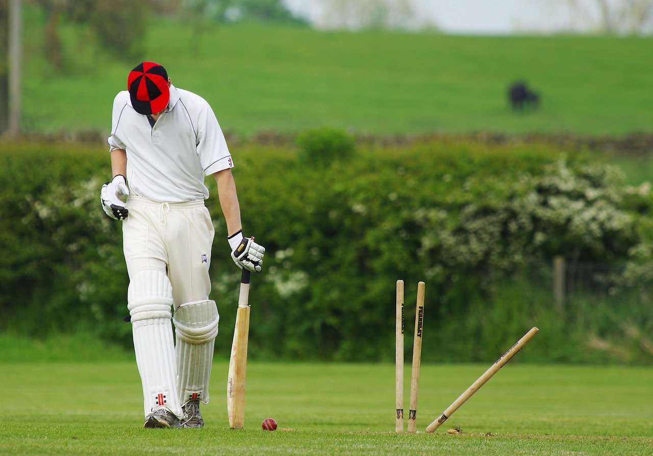 The-Factors-To-Consider-When-You-Are-Placing-A-Cricket-Bet.jpg