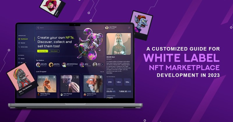 a-customized-guide-for-white-label-nft-marketplace-development-in-2023-639da6f033f42.jpg