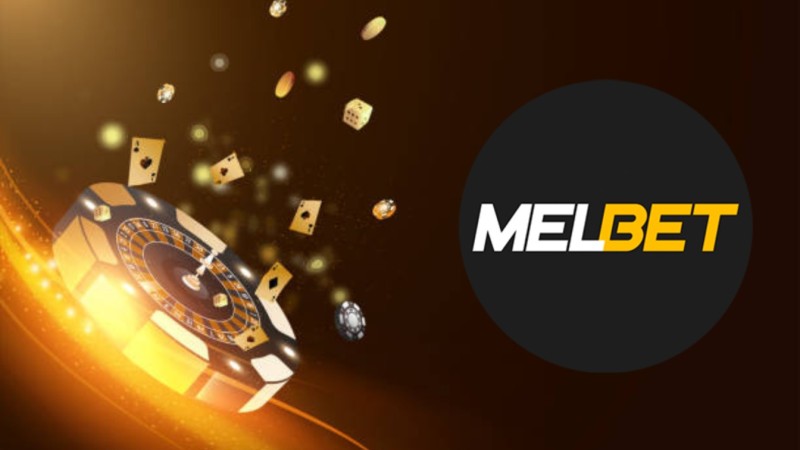 A Review of the Three Most Popular Betting Sites for Cricket Betting in India