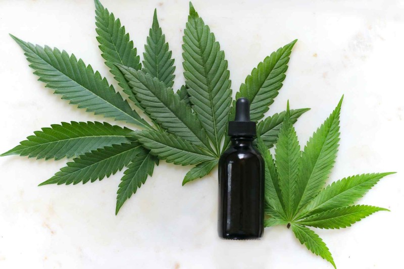 Why Today Youth Is Addicted Towards Cannabis