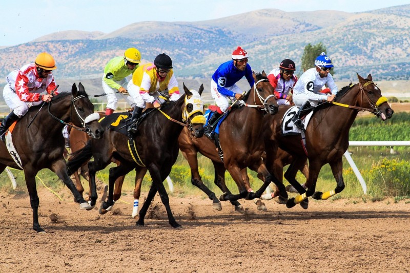 The Rise of Digital Betting: How Technology Is Reshaping the Casino Industry