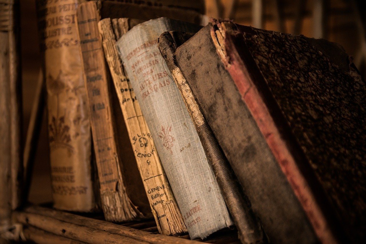 Great Education Options for Your Consideration