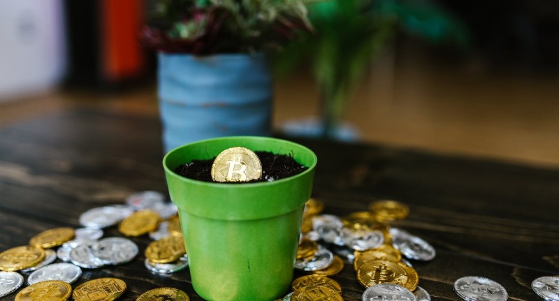 "Exploring the Top Four Cryptocurrencies: Understanding Their Significance inside the Market"