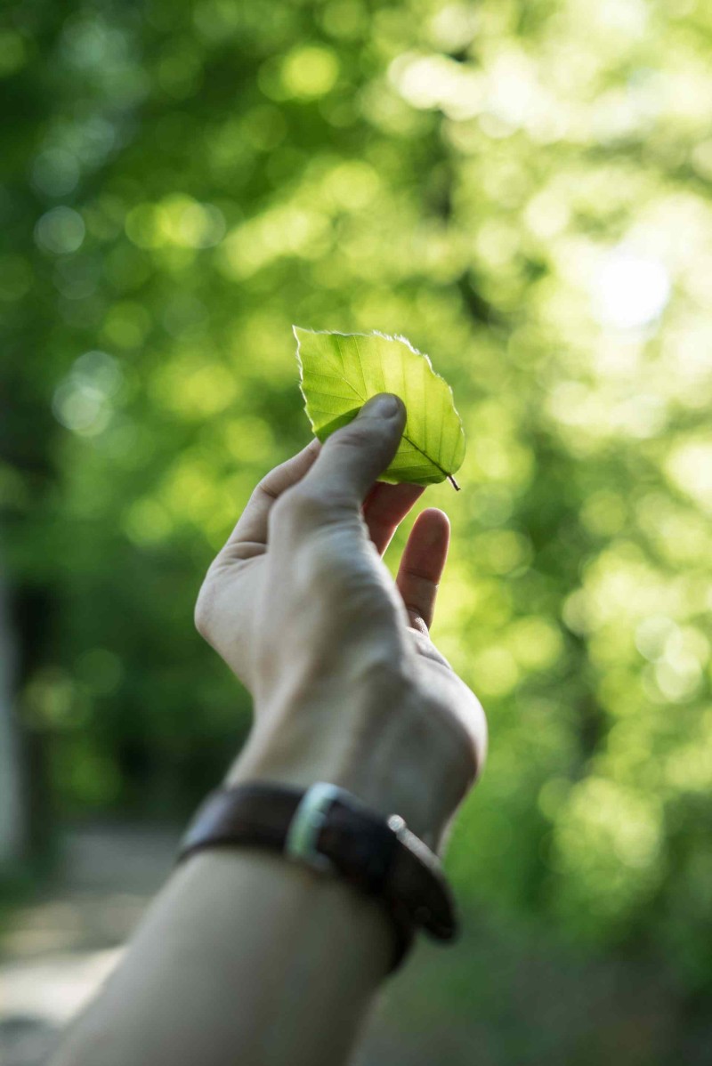 Environment Development and Sustainability: How to Balance Economic Growth with Environmental Protection?