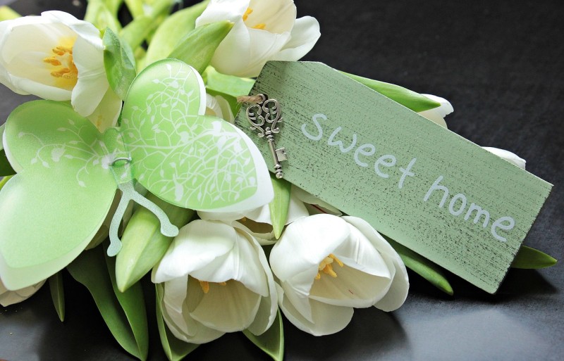tulips-2091617-1280-63bb0b12a2b23.jpg